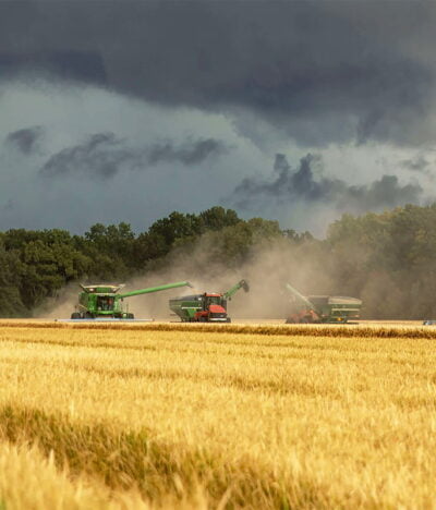 Importance of Soil Health for Successful Crop Growth