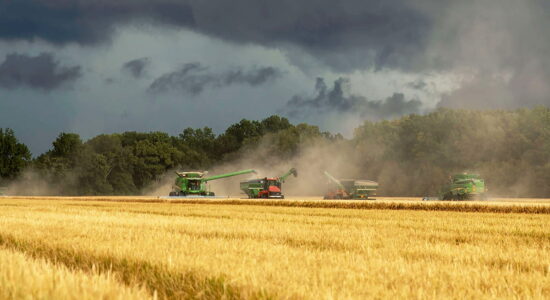 agrisoil