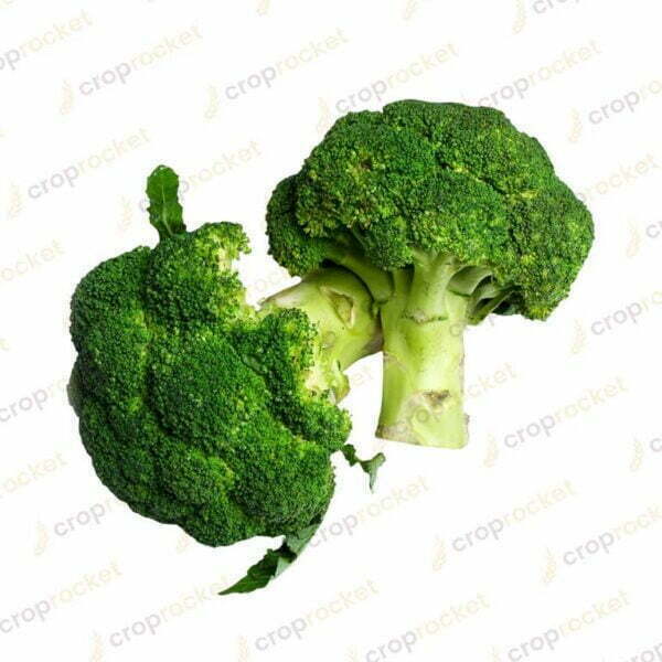 broccoli