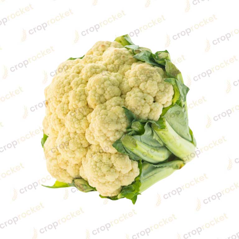 cauliflower