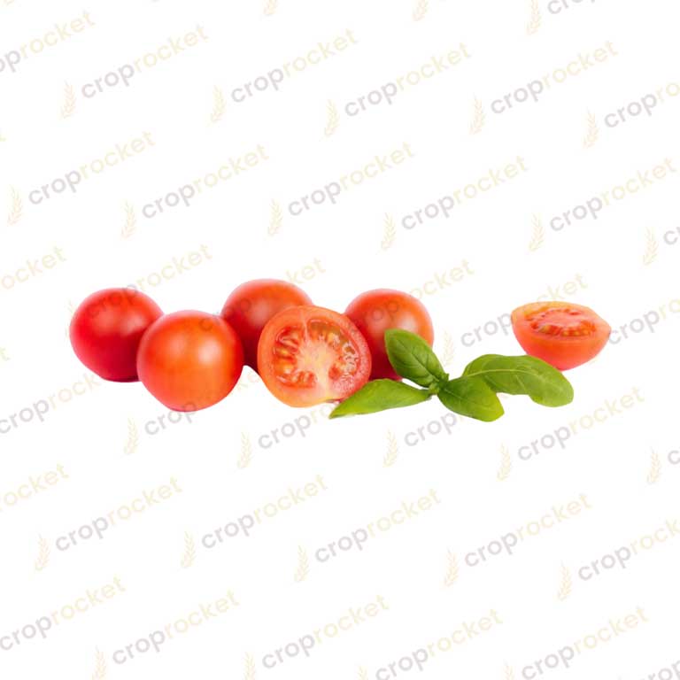 cherry tomato