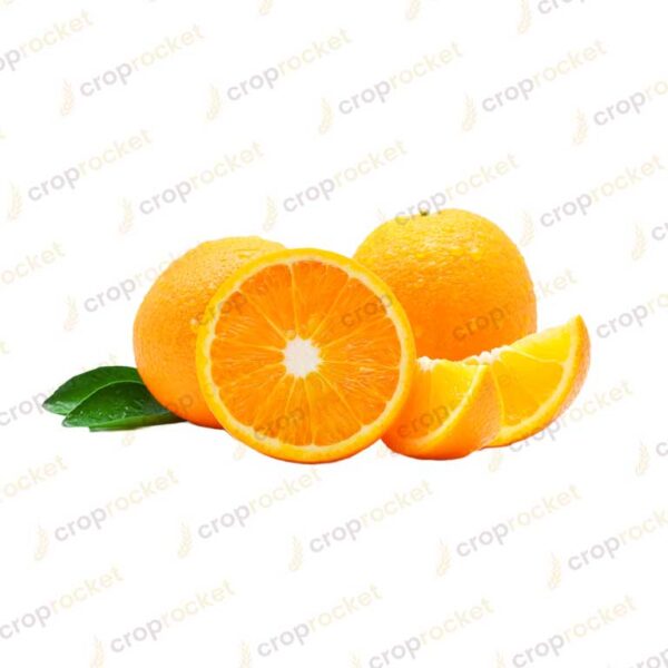 citrus