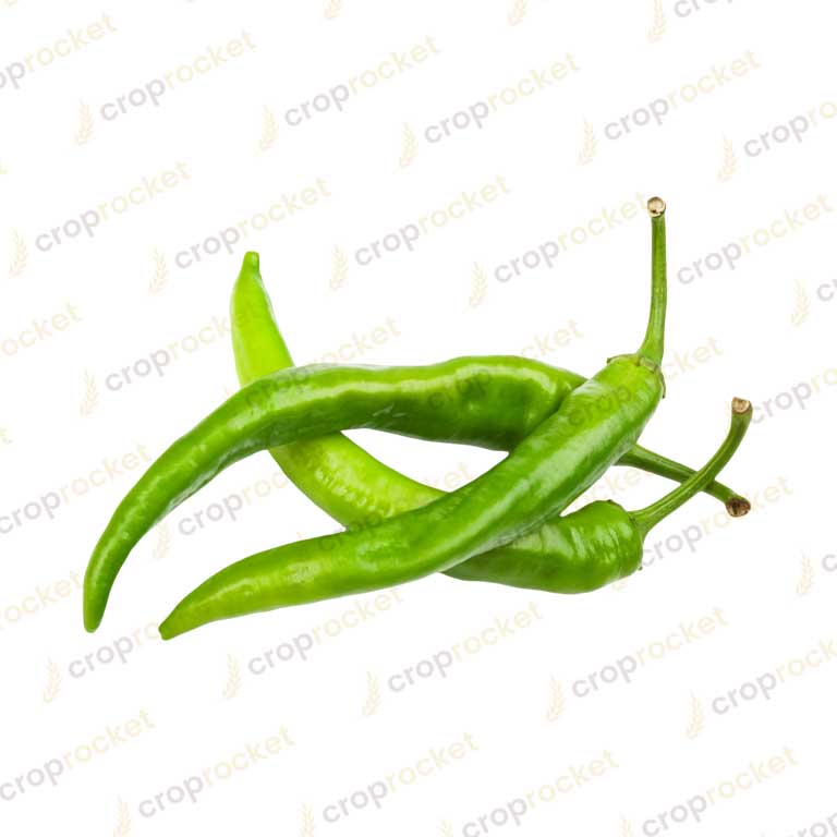 green chili