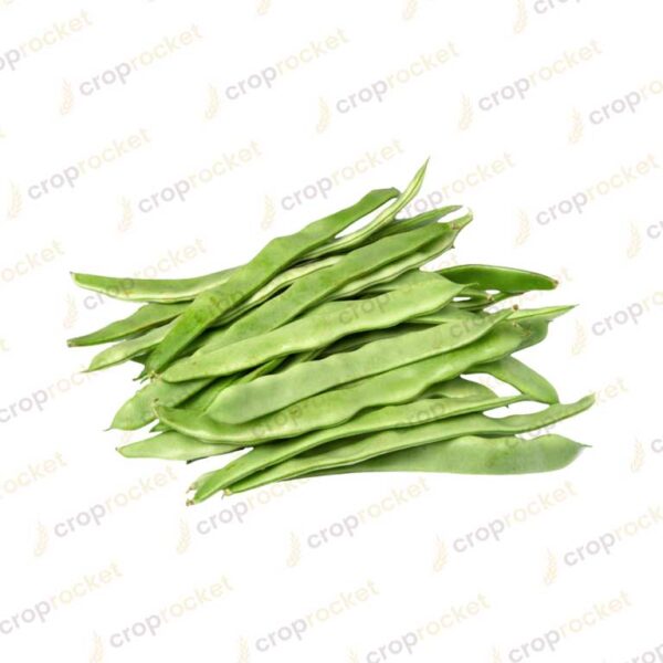 green pea