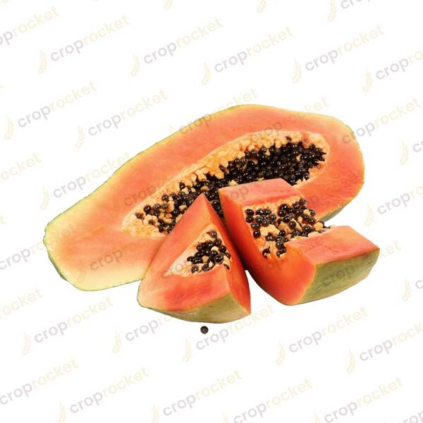 papaya