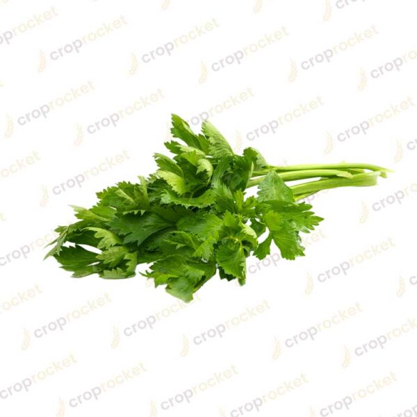 parsley