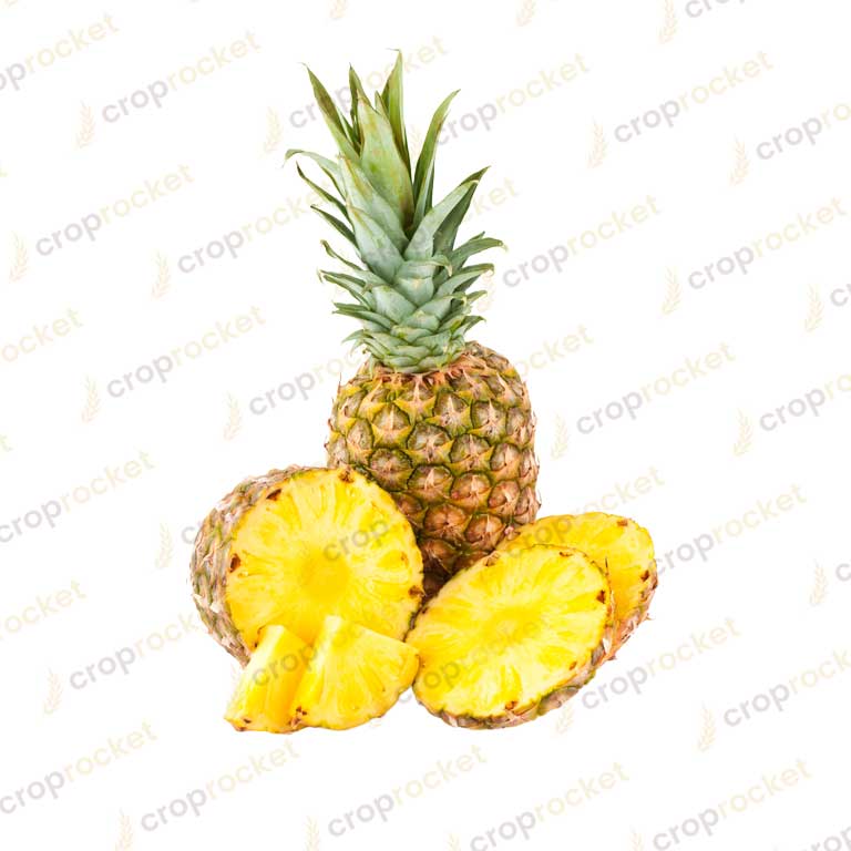 pineapple