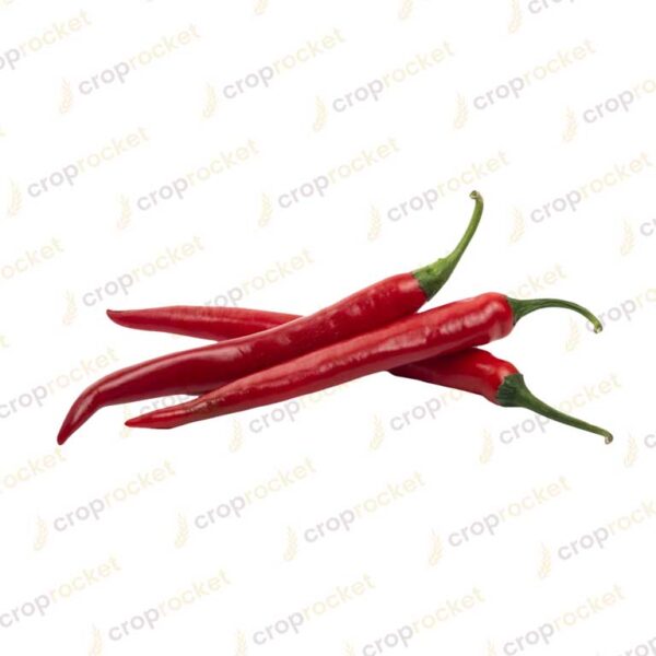 red chili