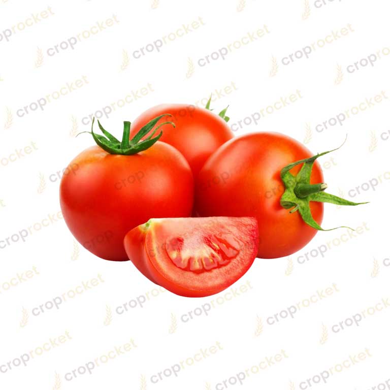 tomato