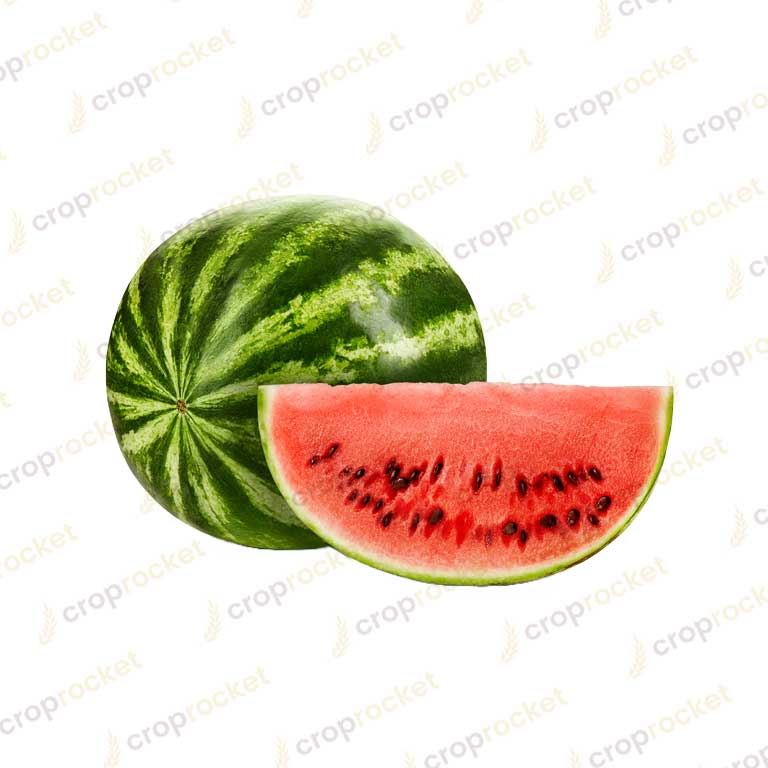 water melon