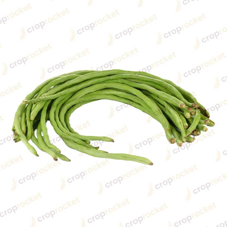 yard long bean